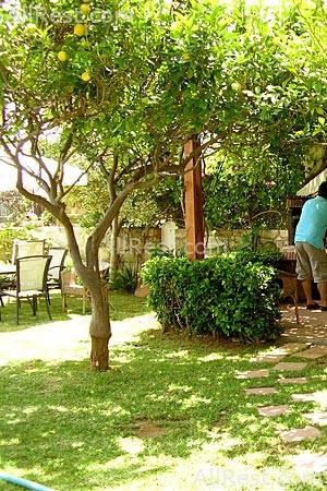 Villa Arhontariki 32